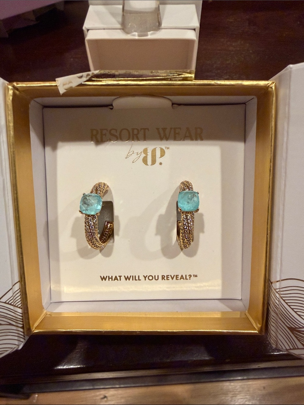 Resort: The Margerite Earring: Aquamarine on Gold